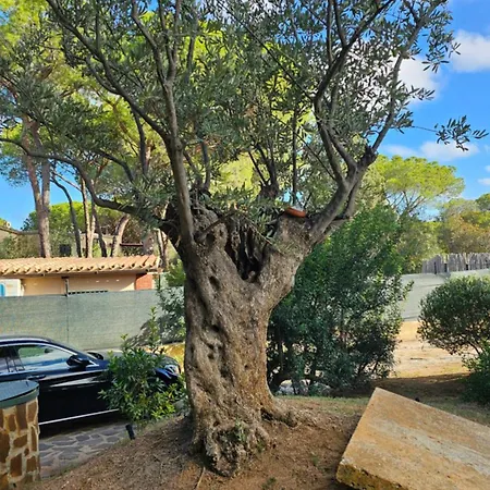 Villa Pinewood Santa Margherita di Pula