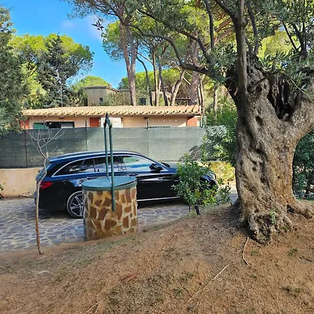 Villa Pinewood